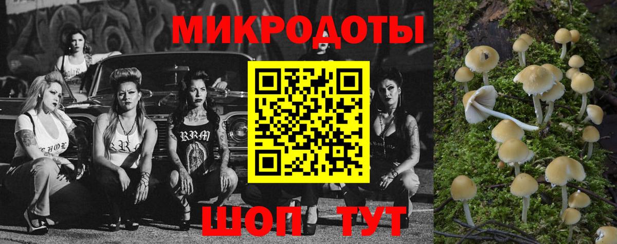 Галлюциногенные грибы мухоморы Ставрополь