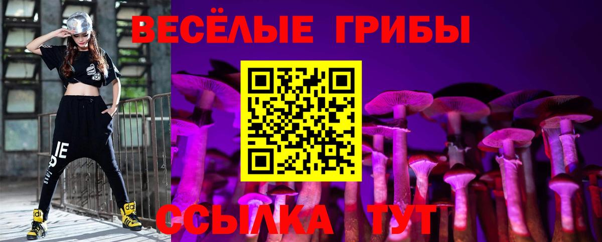 Псилоцибиновые грибы Psilocybine cubensis  Вход с VPN  Ставрополь  где можно купить   Галлюциногенные грибы Psilocybe 
